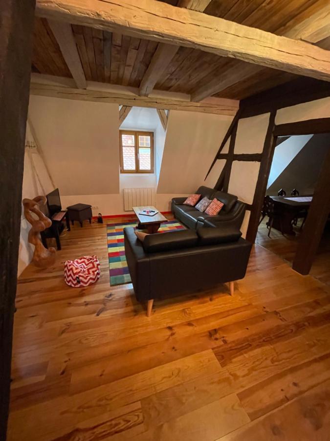 Les Epicuriens Du Rempart Apartment Eguisheim Luaran gambar
